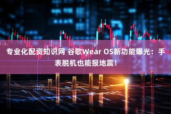 专业化配资知识网 谷歌Wear OS新功能曝光：手表脱机也能报地震！